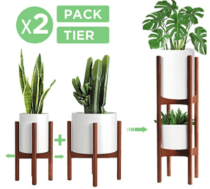 Best Plant Stand