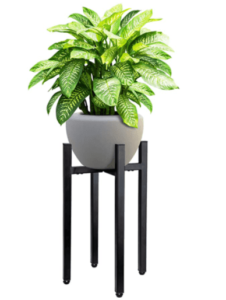 Best Plant Stand