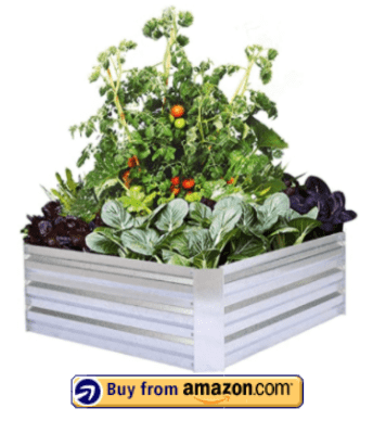 Raised Garden Beds For Vegetables