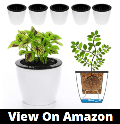 earthbox self watering planter