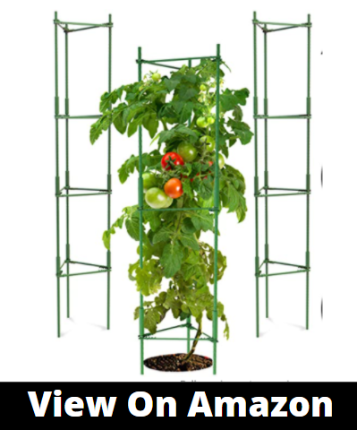 tomato cage support
