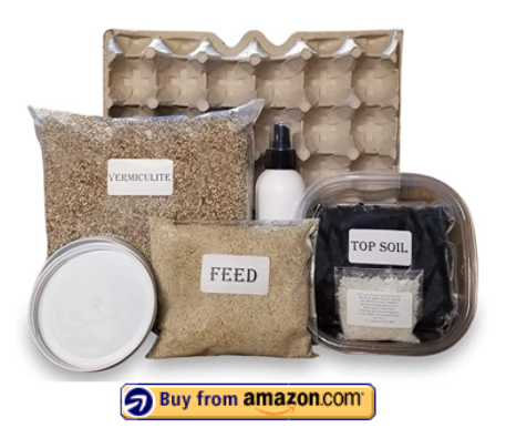 Cricket Colony Starter Kit for Feeder Crickets- 6-Egg Flats, Vermiculite