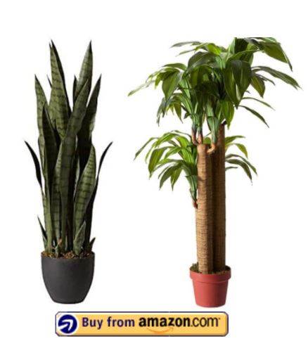Nearly Natural dracaena plant