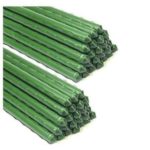 G-LEAF 3-Ft Sturdy Metal Tomato Garden Stakes Cage