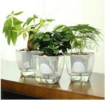 Self-Watering Planter, FENGZHITAO Clear Plastic Automatic