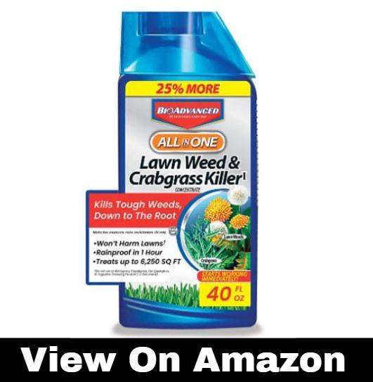 BioAdvanced All-in-One Lawn Weed and Crabgrass Killer Garden Herbicide, 32 oz, Concentrate