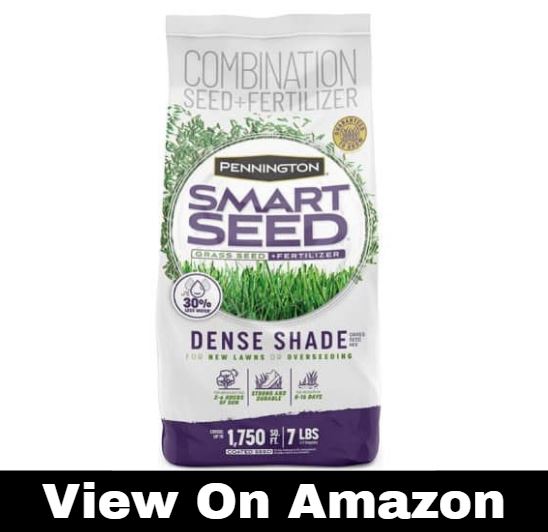 Pennington Smart Seed Dense Shade Grass Seed and Fertilizer Mix, 7 Pounds
