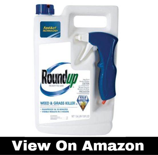 Roundup Weed and Grass Killer III Ready-to-Use Trigger Spray, 1-Gallon