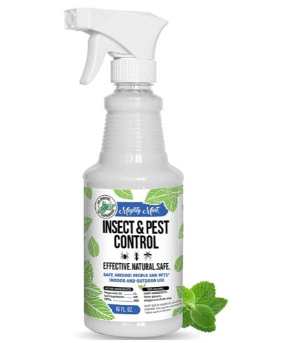 Mighty Mint - 16oz Insect and Pest Control Peppermint Oil