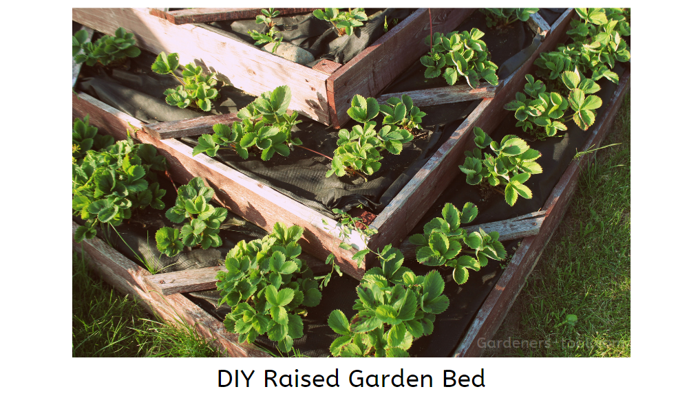 How to build a DIY Raised Garden Bed