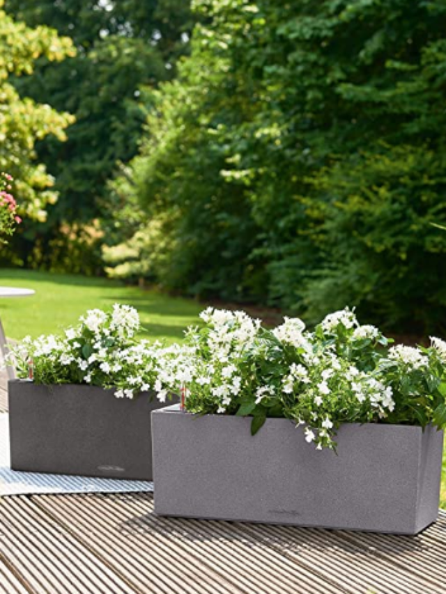 Lechuza 15662 self watering Planter